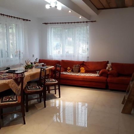 Casa Geanina Bed & Breakfast Colibiţa Екстериор снимка