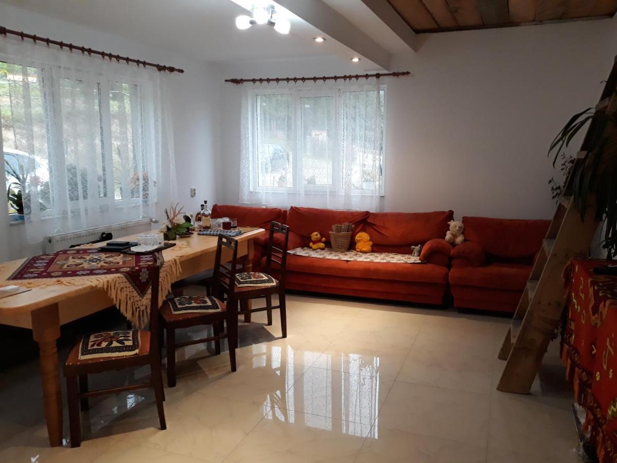 Casa Geanina Bed & Breakfast Colibiţa Екстериор снимка