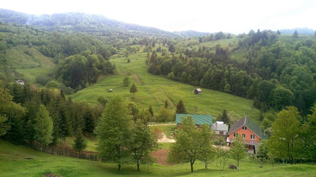 Casa Geanina Bed & Breakfast Colibiţa Екстериор снимка