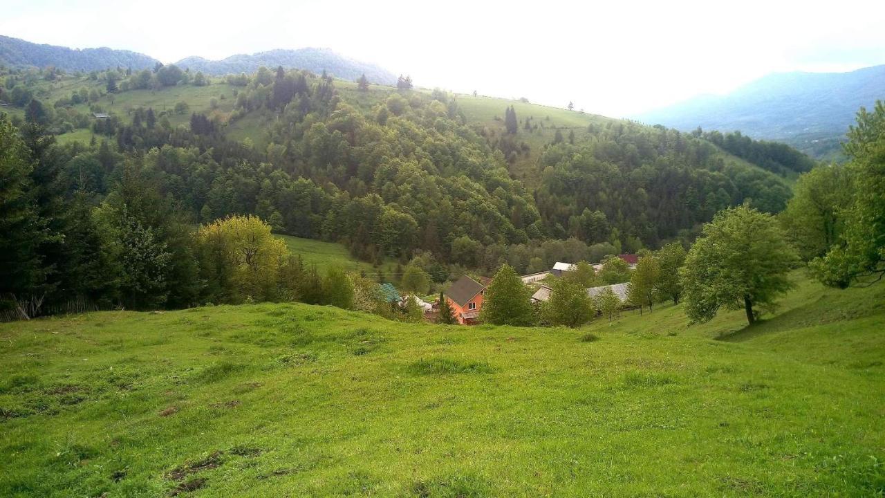 Casa Geanina Bed & Breakfast Colibiţa Екстериор снимка