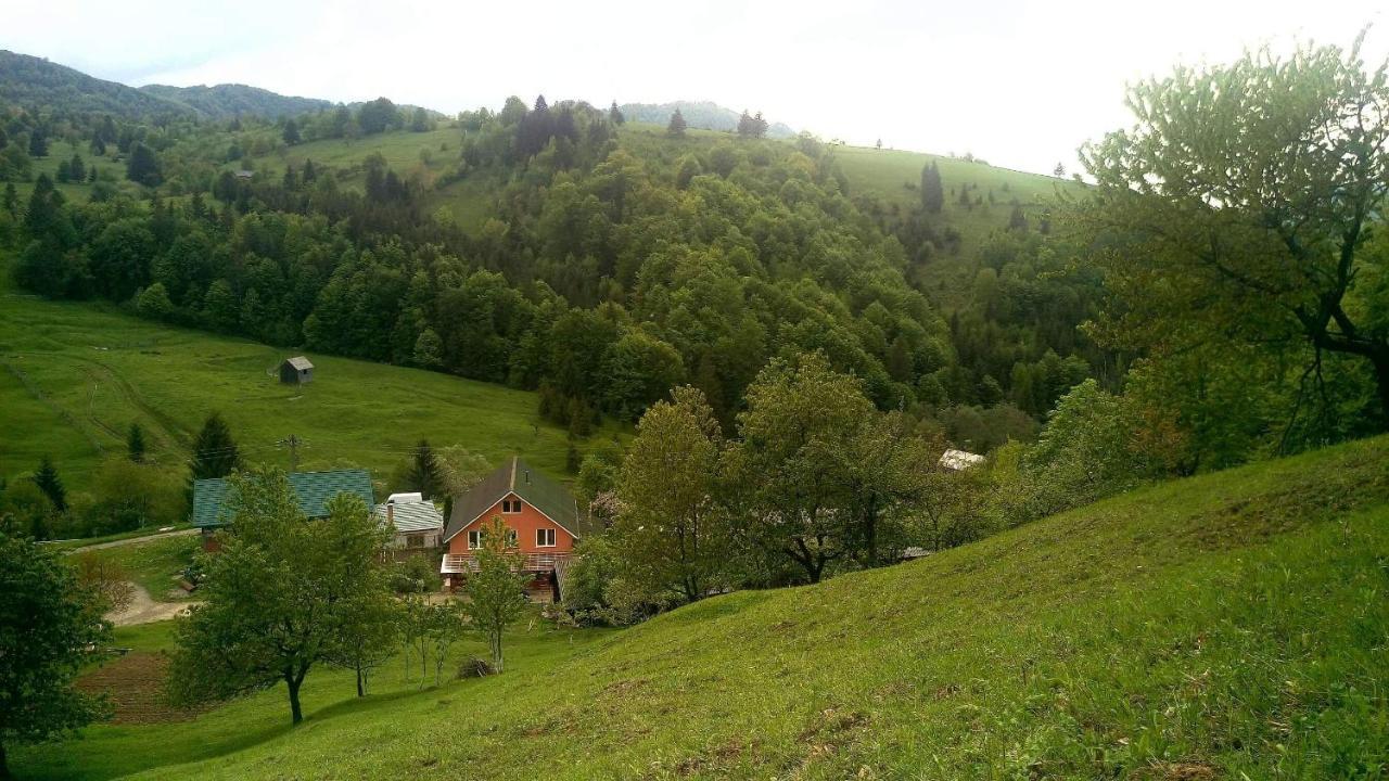 Casa Geanina Bed & Breakfast Colibiţa Екстериор снимка