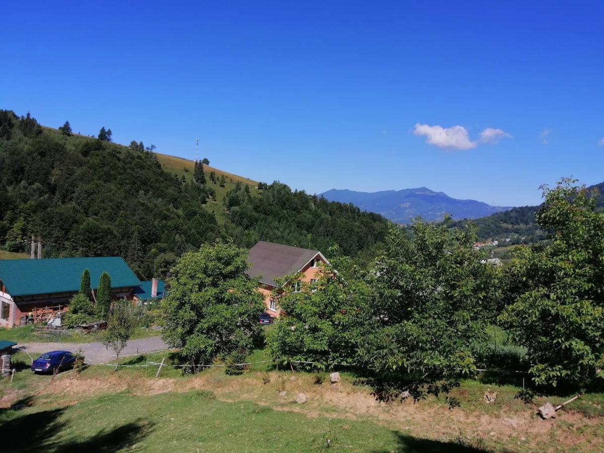 Casa Geanina Bed & Breakfast Colibiţa Екстериор снимка