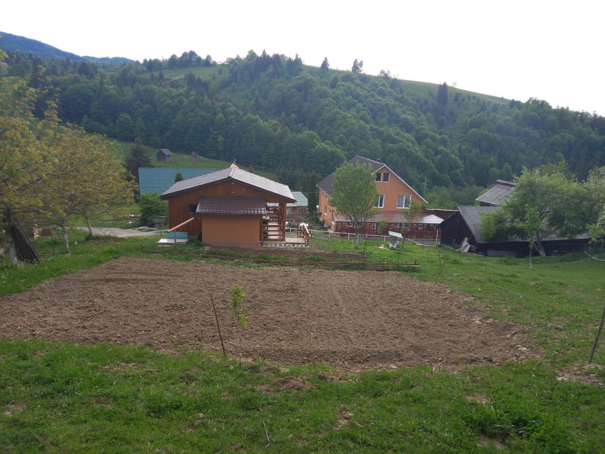 Casa Geanina Bed & Breakfast Colibiţa Екстериор снимка