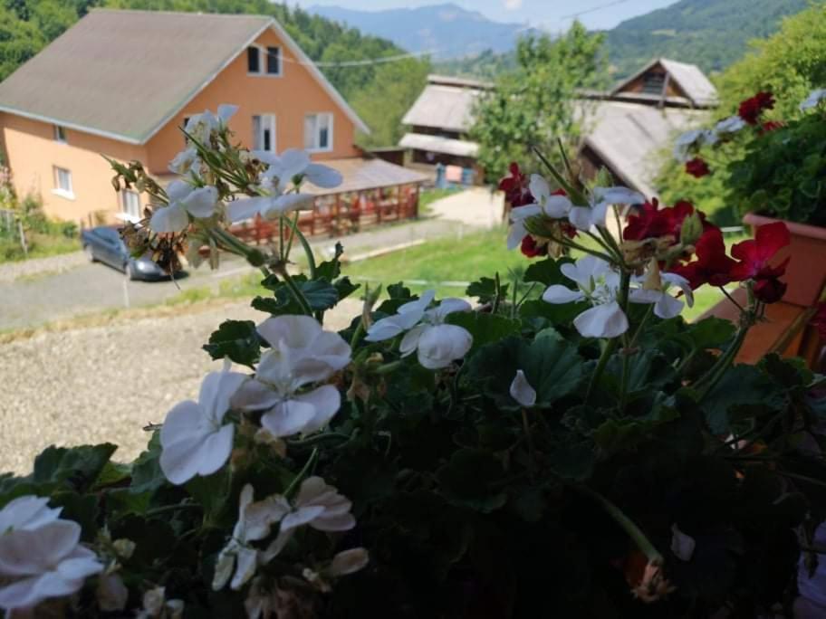 Casa Geanina Bed & Breakfast Colibiţa Екстериор снимка