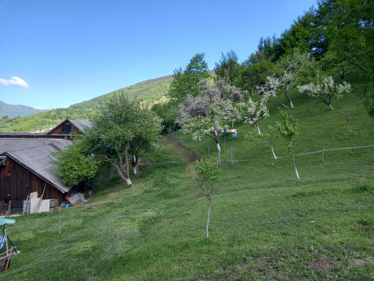 Casa Geanina Bed & Breakfast Colibiţa Екстериор снимка