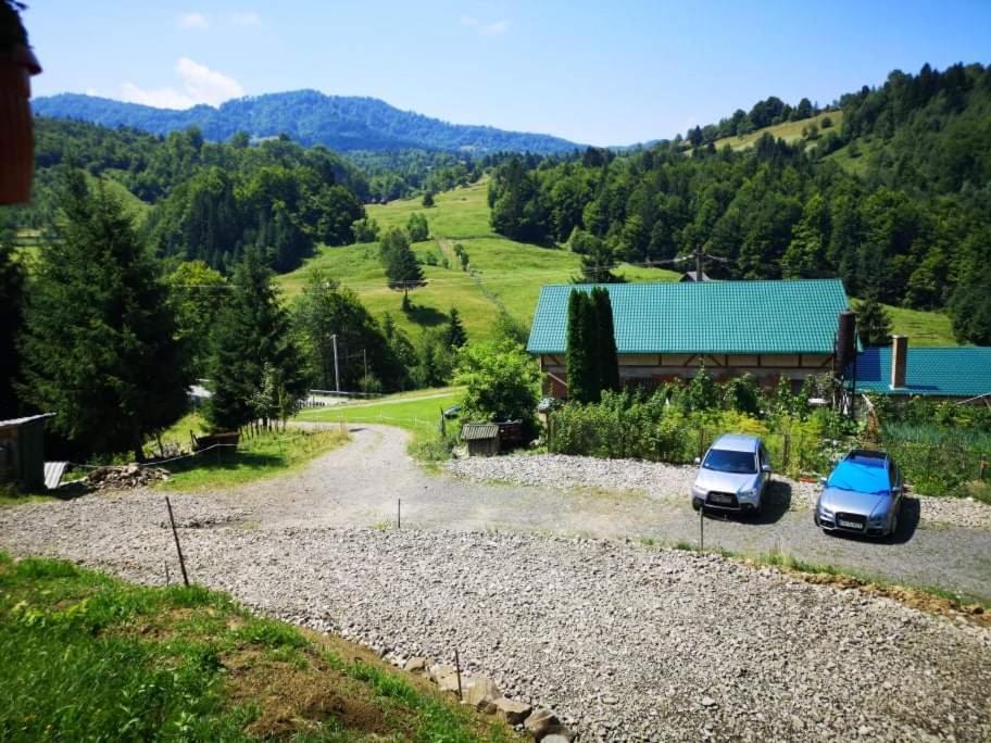 Casa Geanina Bed & Breakfast Colibiţa Екстериор снимка