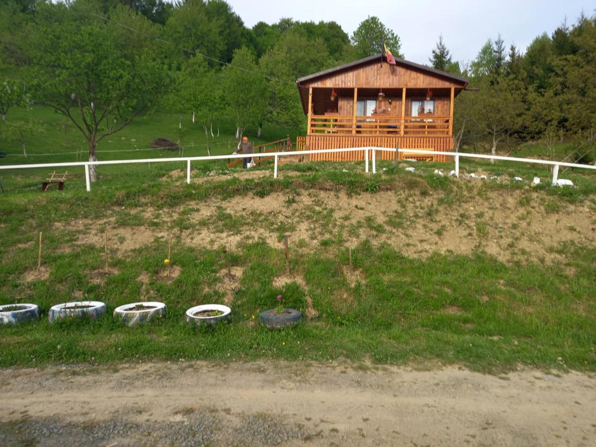 Casa Geanina Bed & Breakfast Colibiţa Екстериор снимка