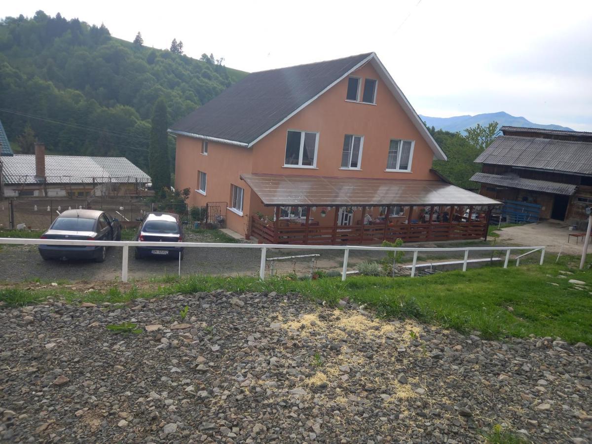 Casa Geanina Bed & Breakfast Colibiţa Екстериор снимка