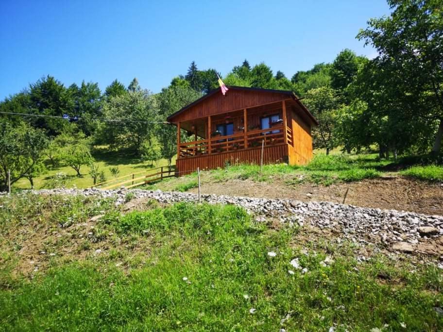 Casa Geanina Bed & Breakfast Colibiţa Екстериор снимка