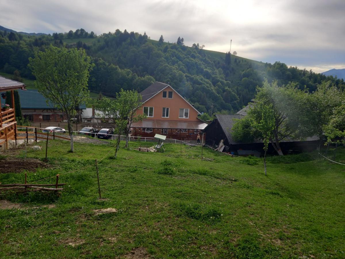 Casa Geanina Bed & Breakfast Colibiţa Екстериор снимка