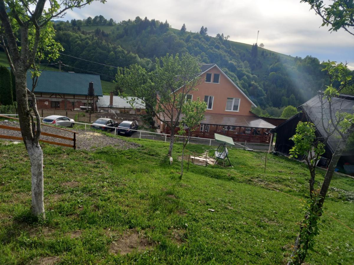 Casa Geanina Bed & Breakfast Colibiţa Екстериор снимка