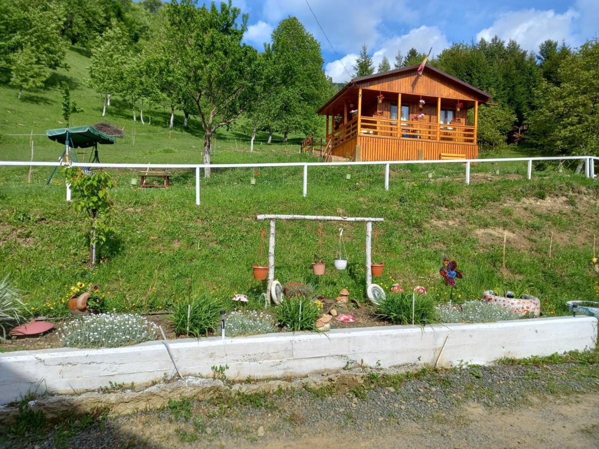Casa Geanina Bed & Breakfast Colibiţa Екстериор снимка