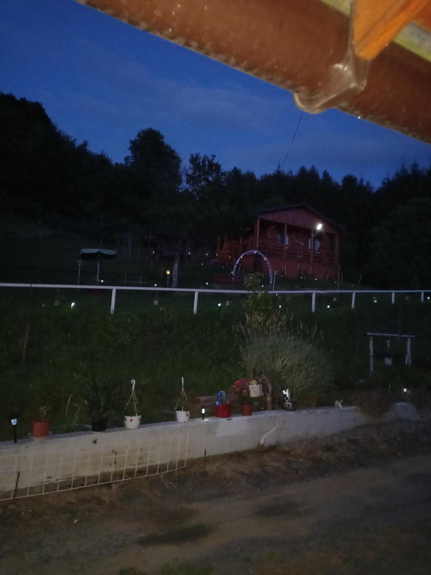 Casa Geanina Bed & Breakfast Colibiţa Екстериор снимка