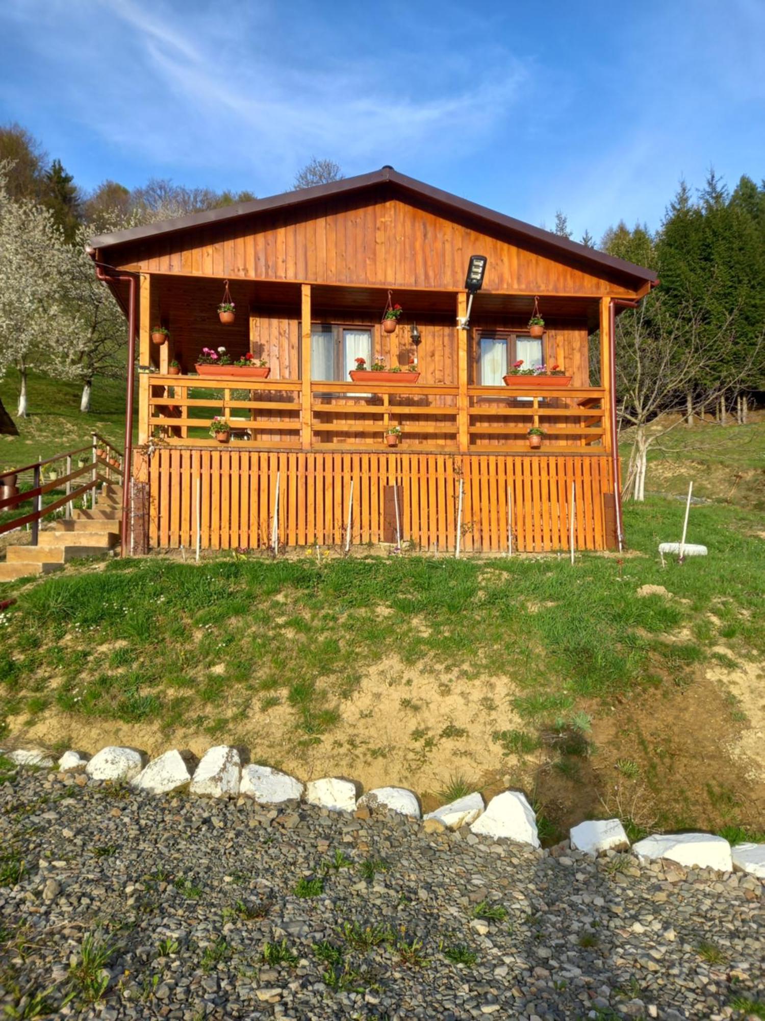 Casa Geanina Bed & Breakfast Colibiţa Екстериор снимка