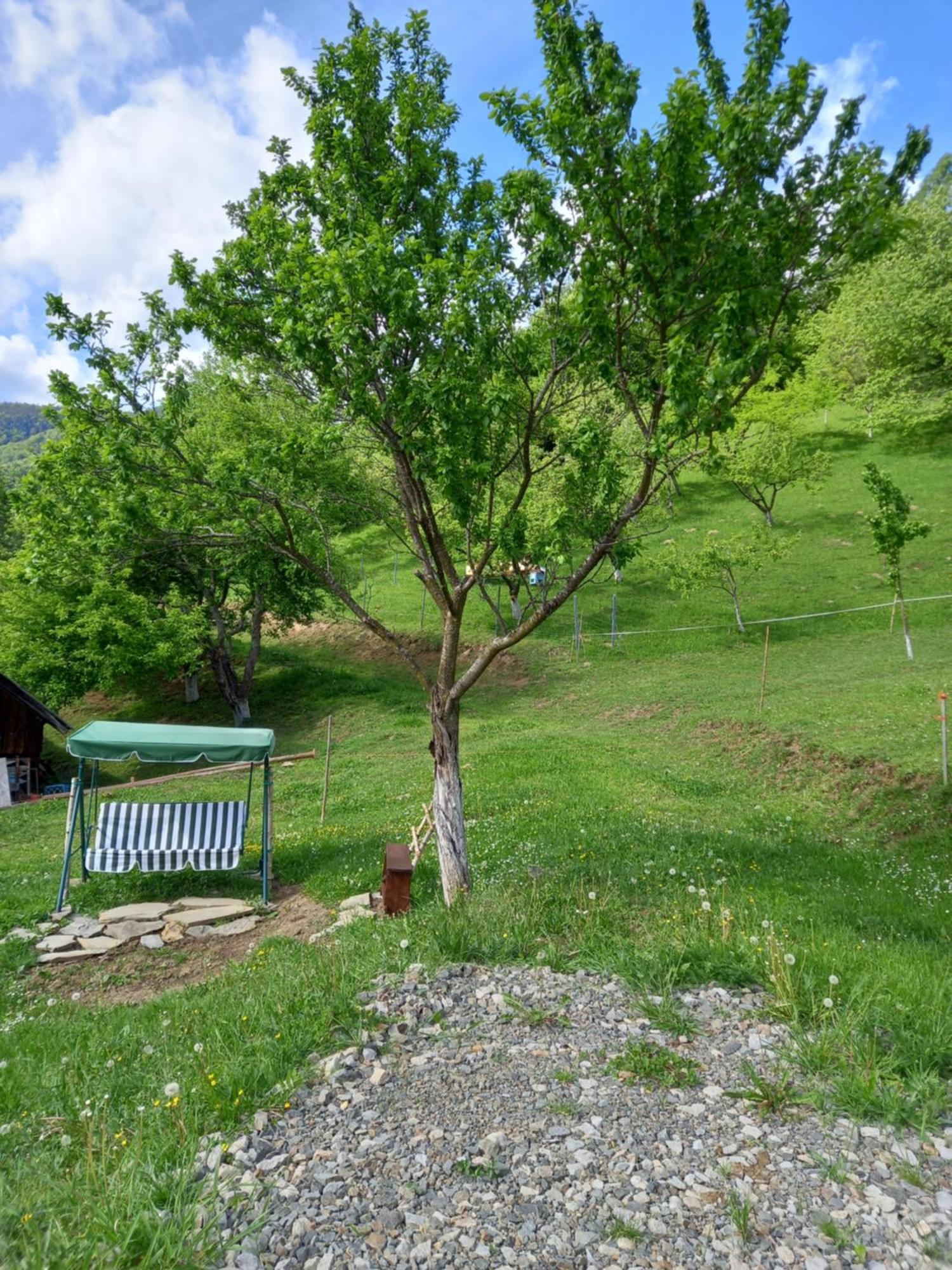 Casa Geanina Bed & Breakfast Colibiţa Екстериор снимка