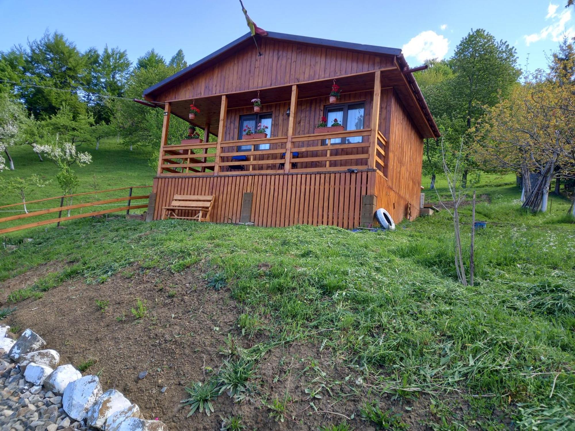 Casa Geanina Bed & Breakfast Colibiţa Екстериор снимка