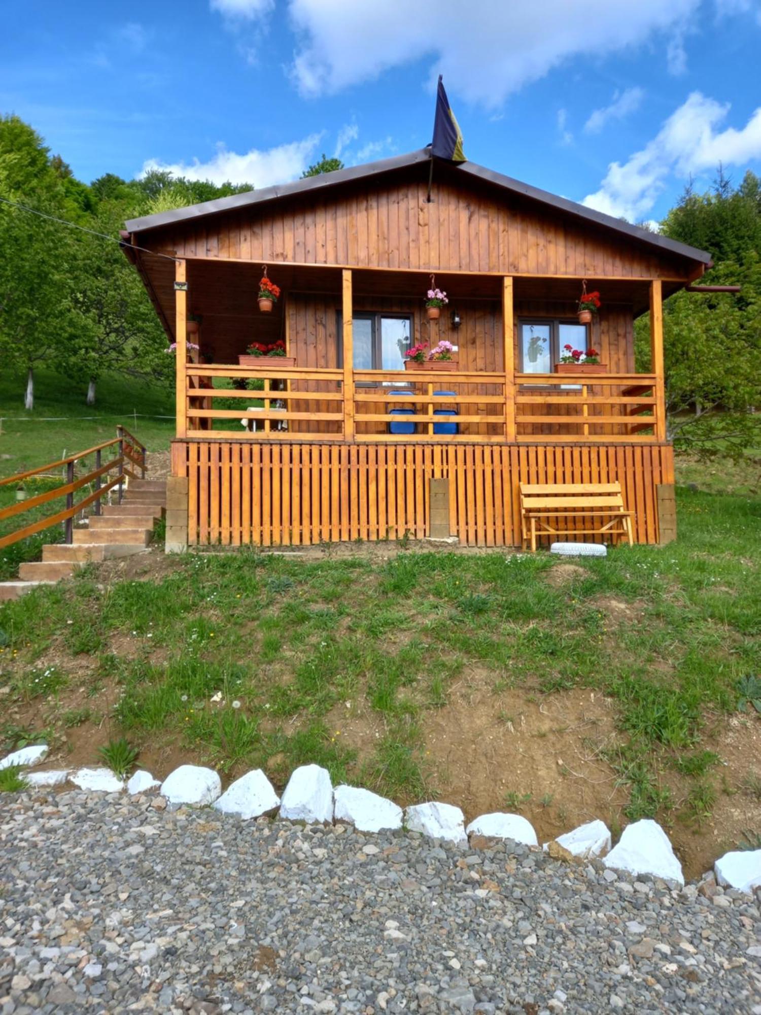 Casa Geanina Bed & Breakfast Colibiţa Екстериор снимка