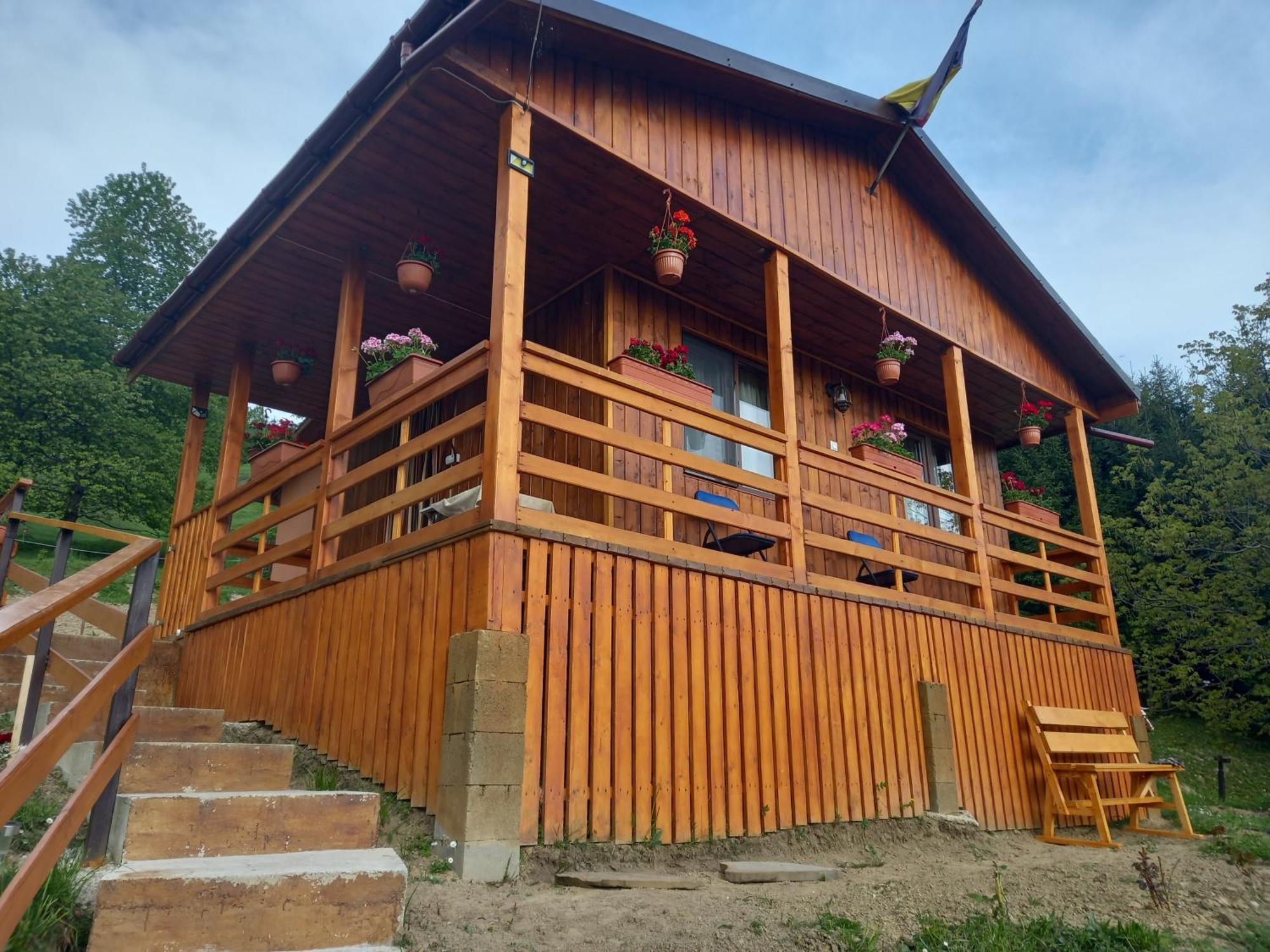 Casa Geanina Bed & Breakfast Colibiţa Екстериор снимка