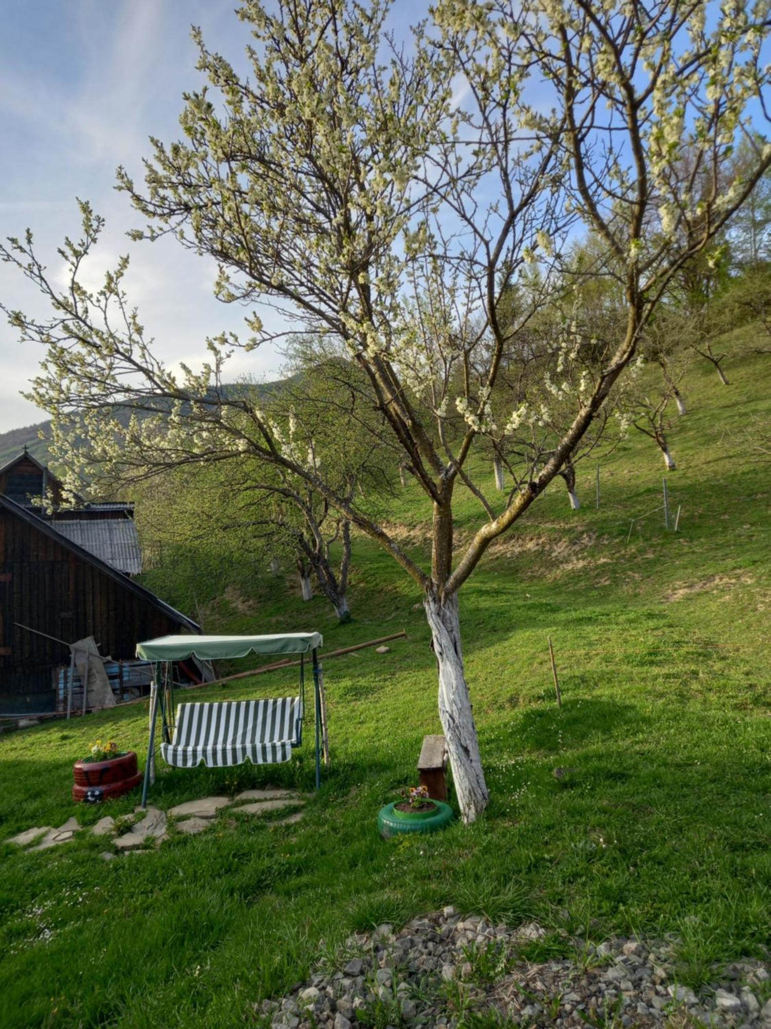 Casa Geanina Bed & Breakfast Colibiţa Екстериор снимка