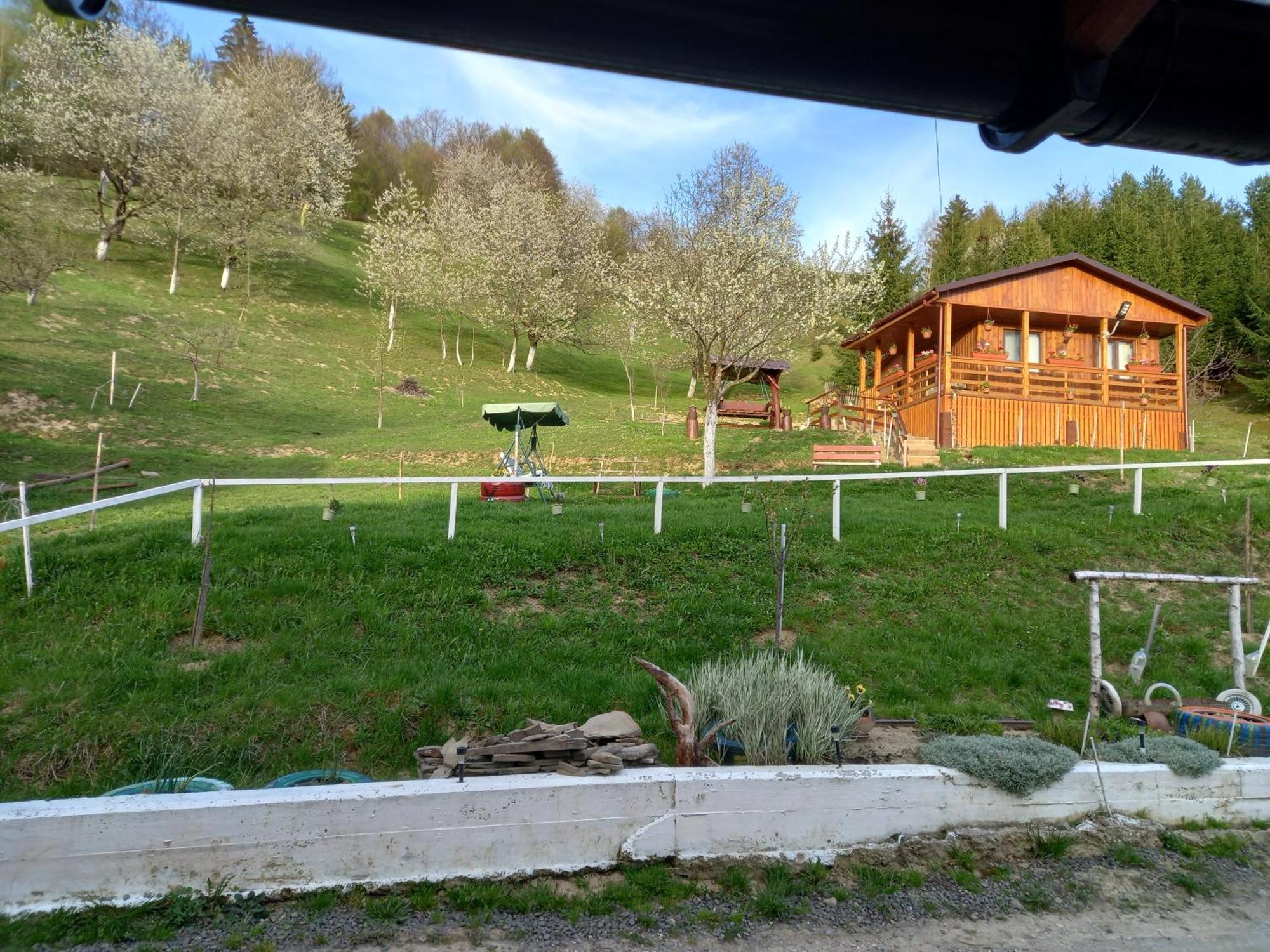 Casa Geanina Bed & Breakfast Colibiţa Екстериор снимка