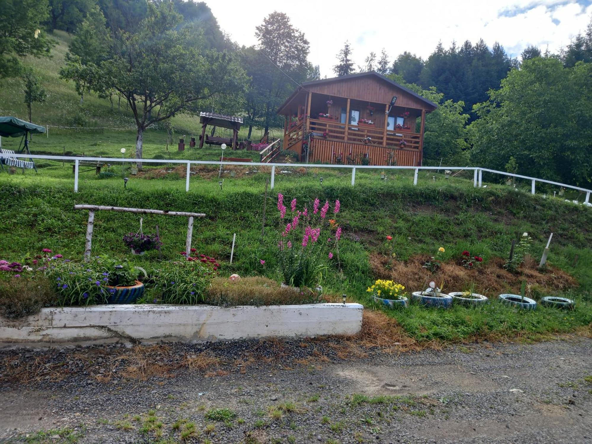 Casa Geanina Bed & Breakfast Colibiţa Екстериор снимка