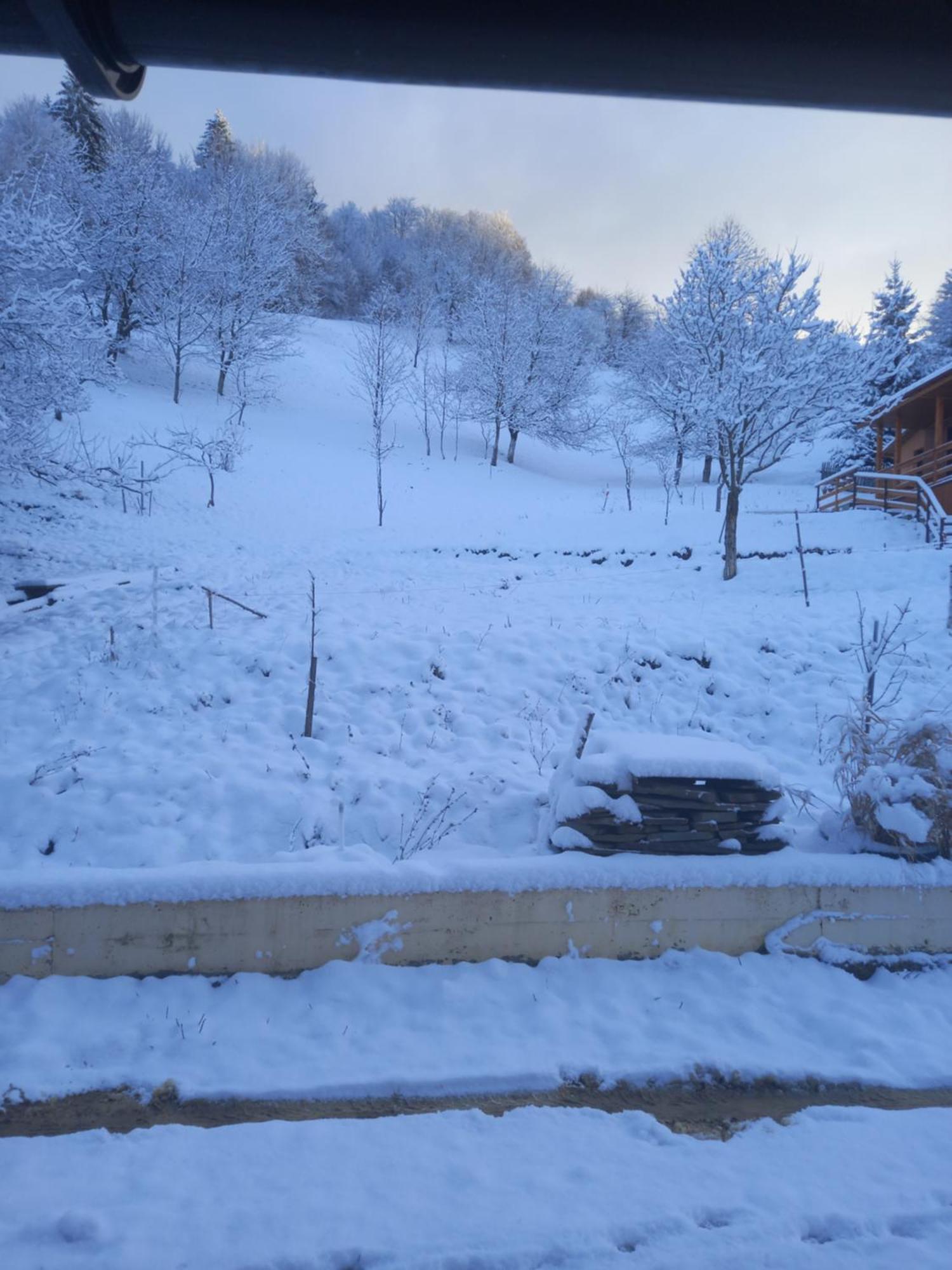 Casa Geanina Bed & Breakfast Colibiţa Екстериор снимка