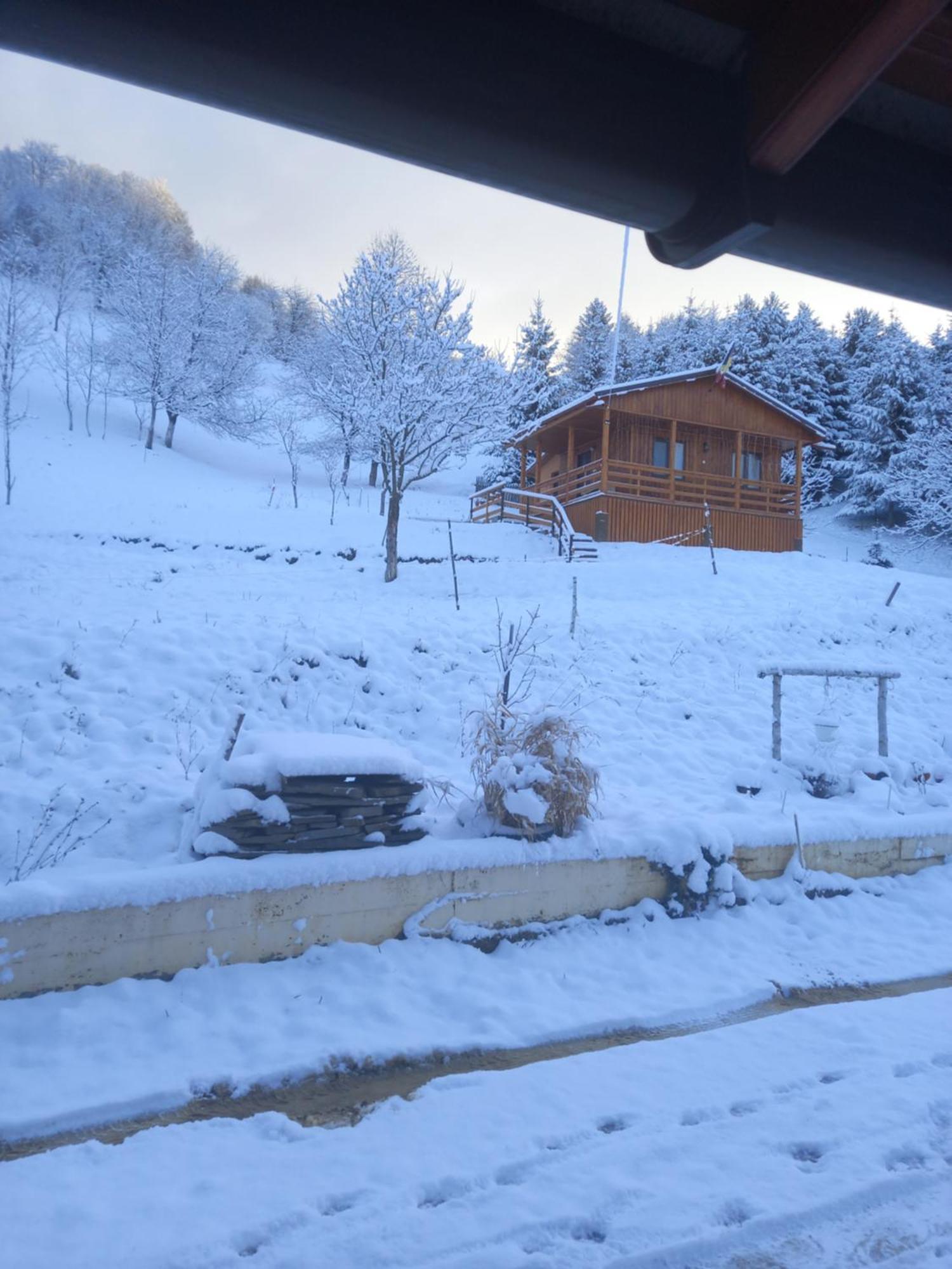 Casa Geanina Bed & Breakfast Colibiţa Екстериор снимка
