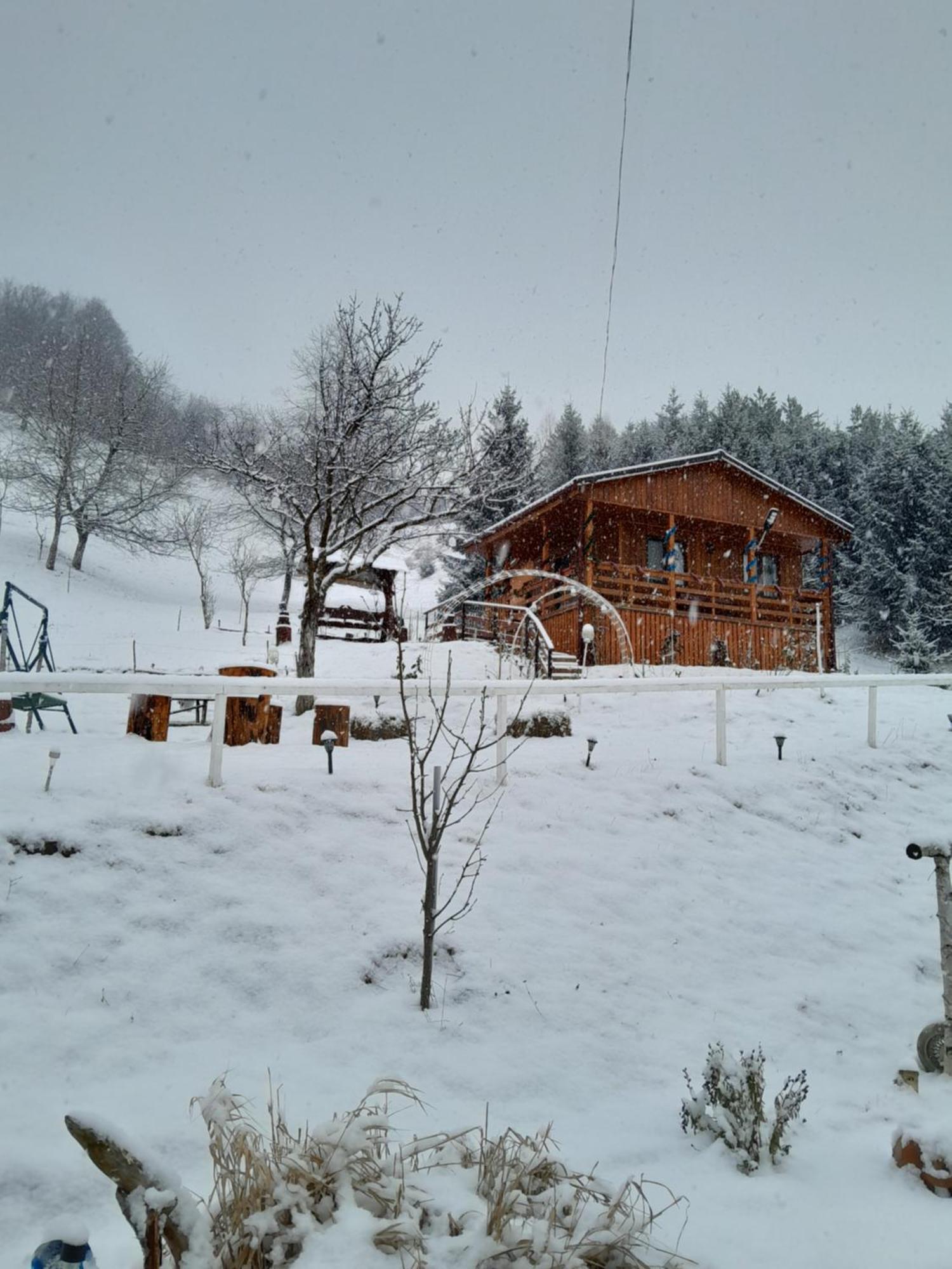 Casa Geanina Bed & Breakfast Colibiţa Екстериор снимка