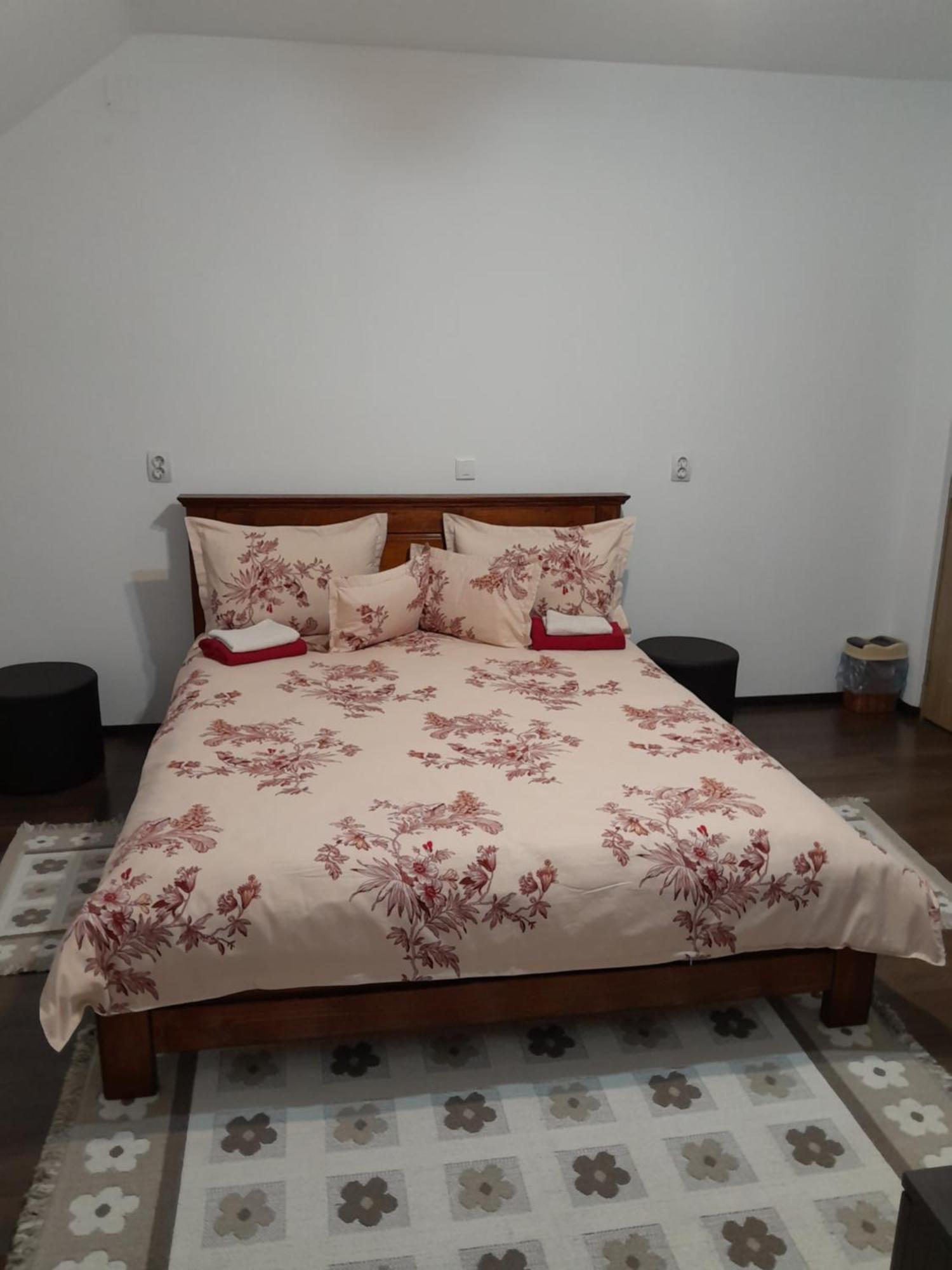 Casa Geanina Bed & Breakfast Colibiţa Екстериор снимка