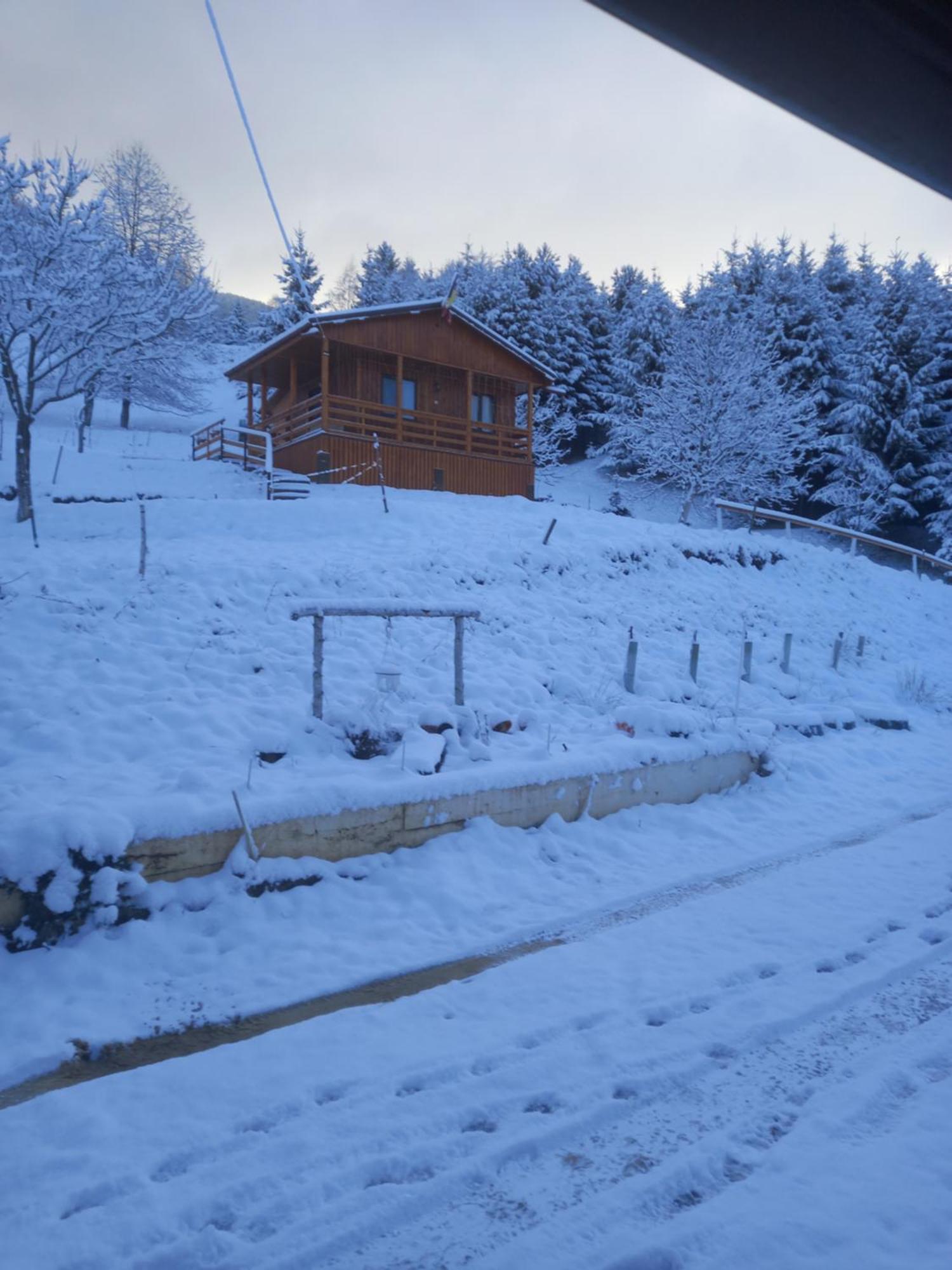 Casa Geanina Bed & Breakfast Colibiţa Екстериор снимка