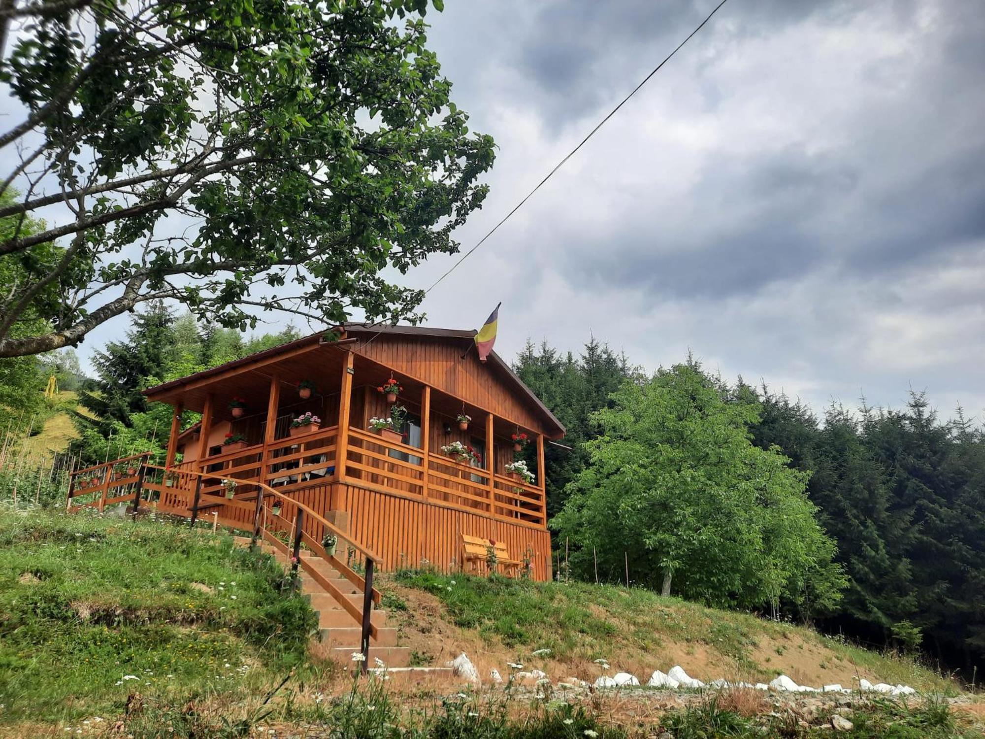 Casa Geanina Bed & Breakfast Colibiţa Екстериор снимка