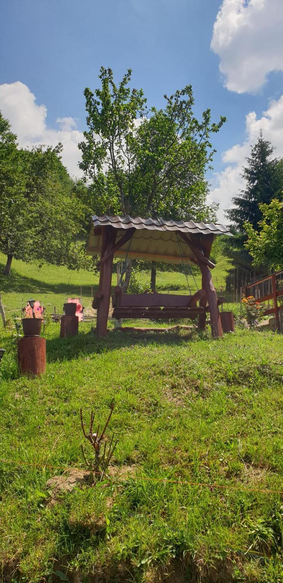 Casa Geanina Bed & Breakfast Colibiţa Екстериор снимка