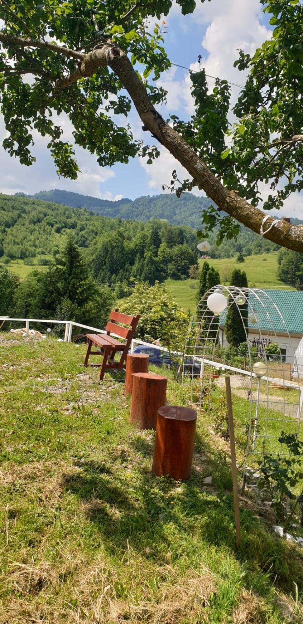 Casa Geanina Bed & Breakfast Colibiţa Екстериор снимка