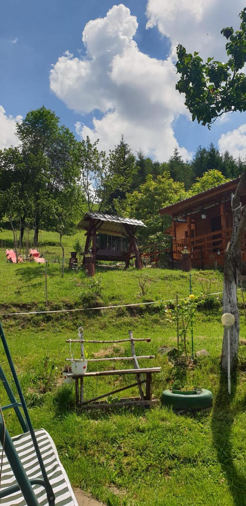 Casa Geanina Bed & Breakfast Colibiţa Екстериор снимка