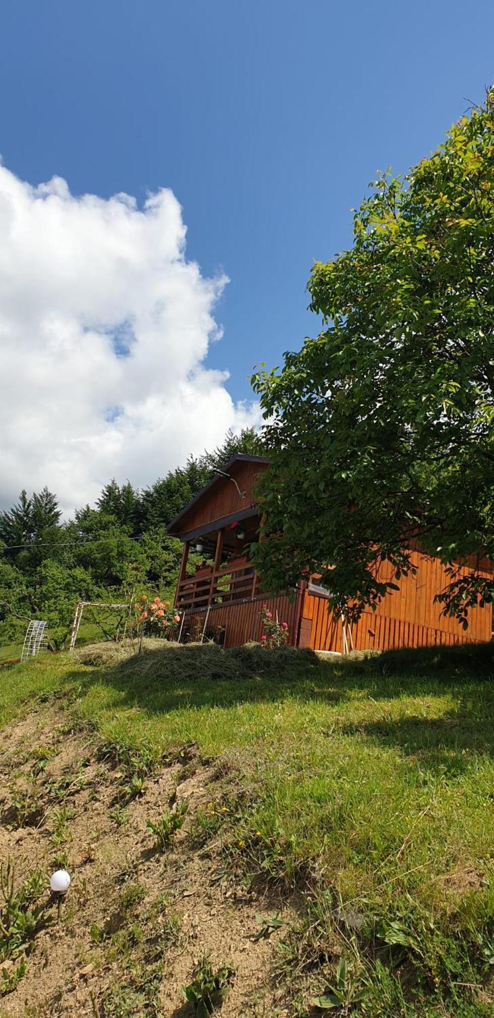Casa Geanina Bed & Breakfast Colibiţa Екстериор снимка