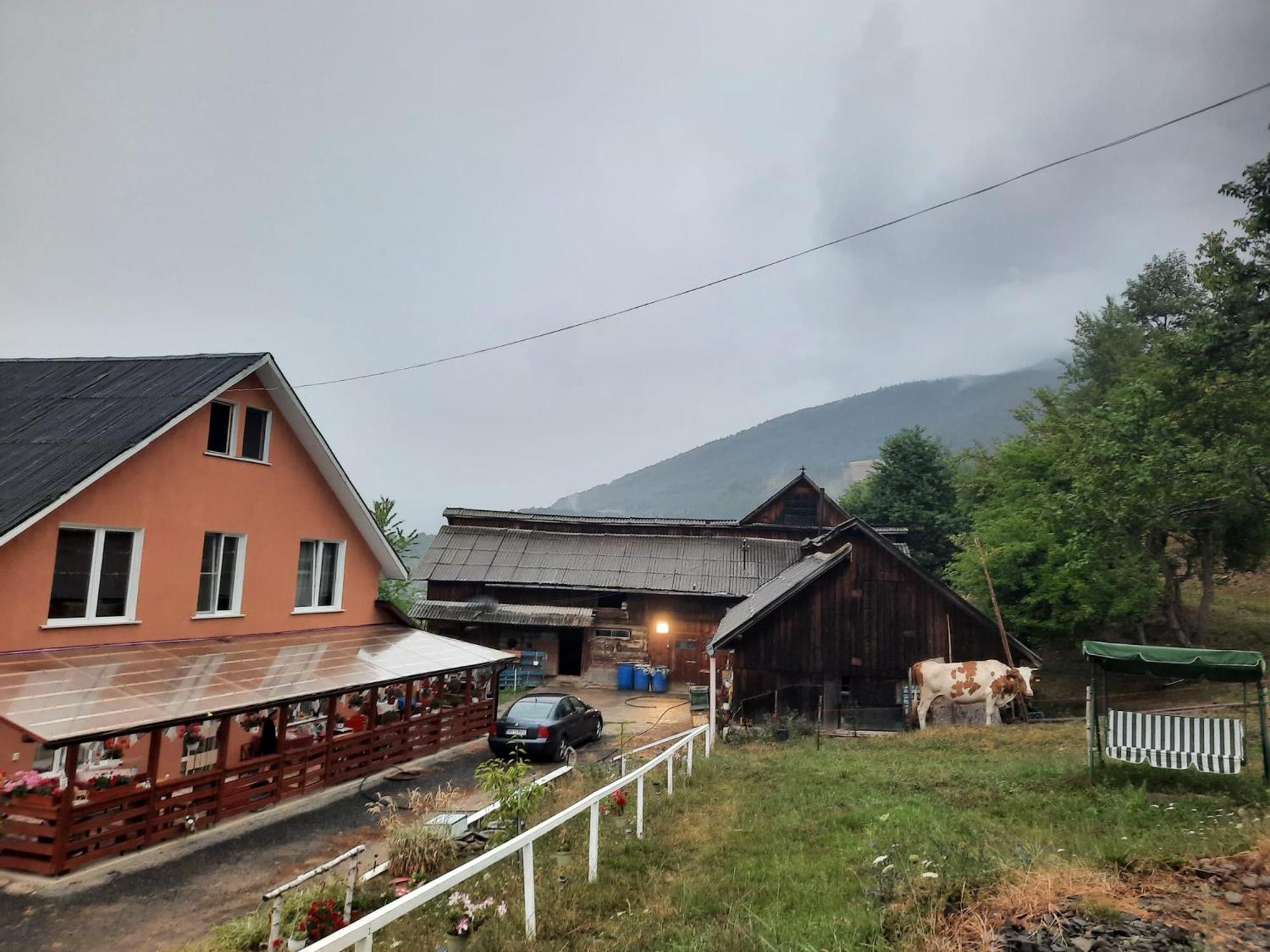 Casa Geanina Bed & Breakfast Colibiţa Екстериор снимка