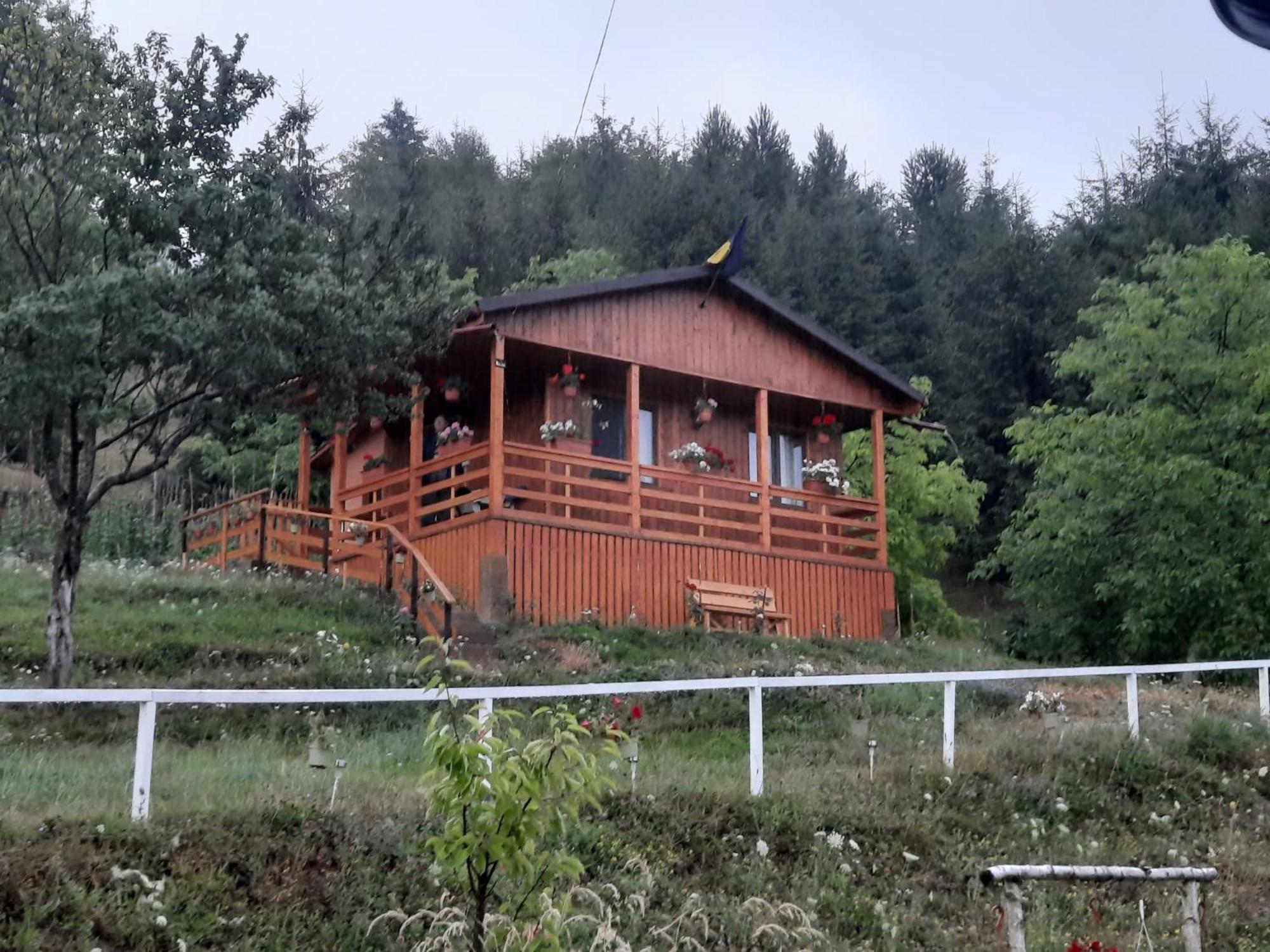 Casa Geanina Bed & Breakfast Colibiţa Екстериор снимка