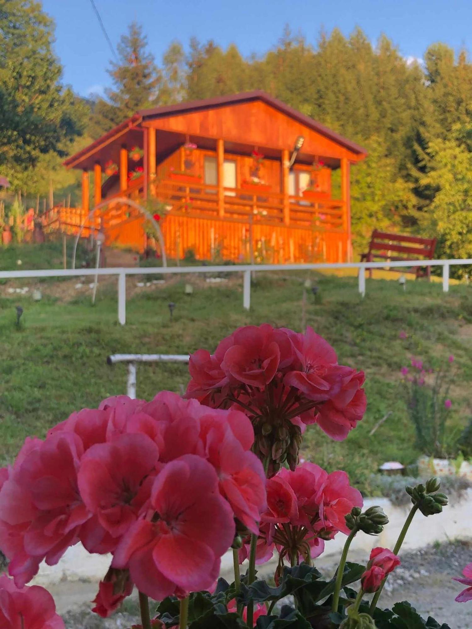 Casa Geanina Bed & Breakfast Colibiţa Екстериор снимка