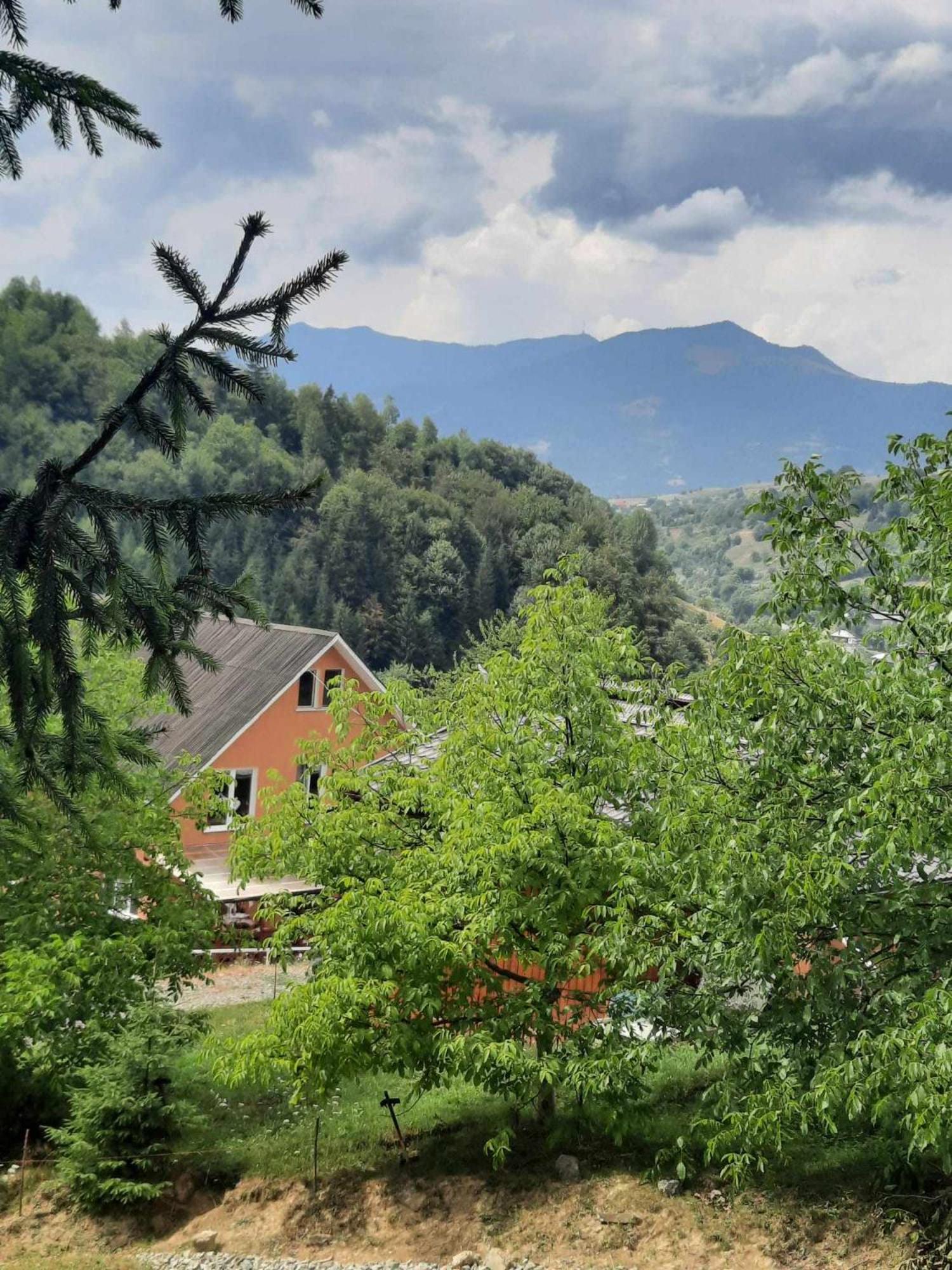 Casa Geanina Bed & Breakfast Colibiţa Екстериор снимка