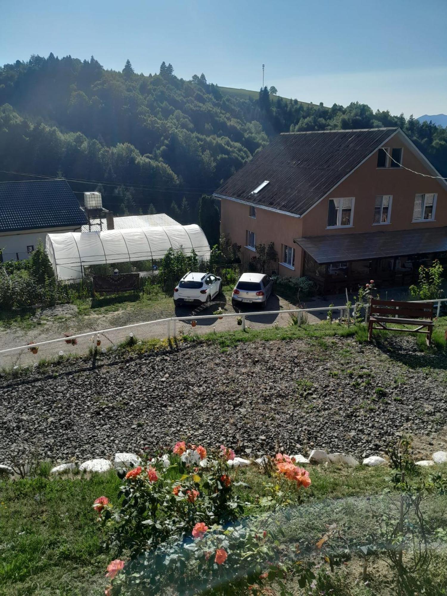 Casa Geanina Bed & Breakfast Colibiţa Екстериор снимка